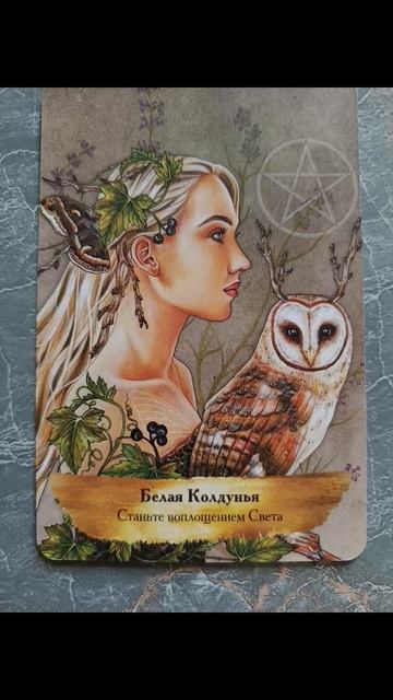 22.04.2026.✨🌈💫Психологический аспект!Путь к Свету!Волевые качества, верное решение!Благодарность!