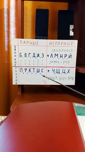 звонкие и глухие, согласные