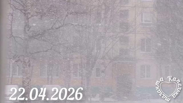 Весенний снег❄️