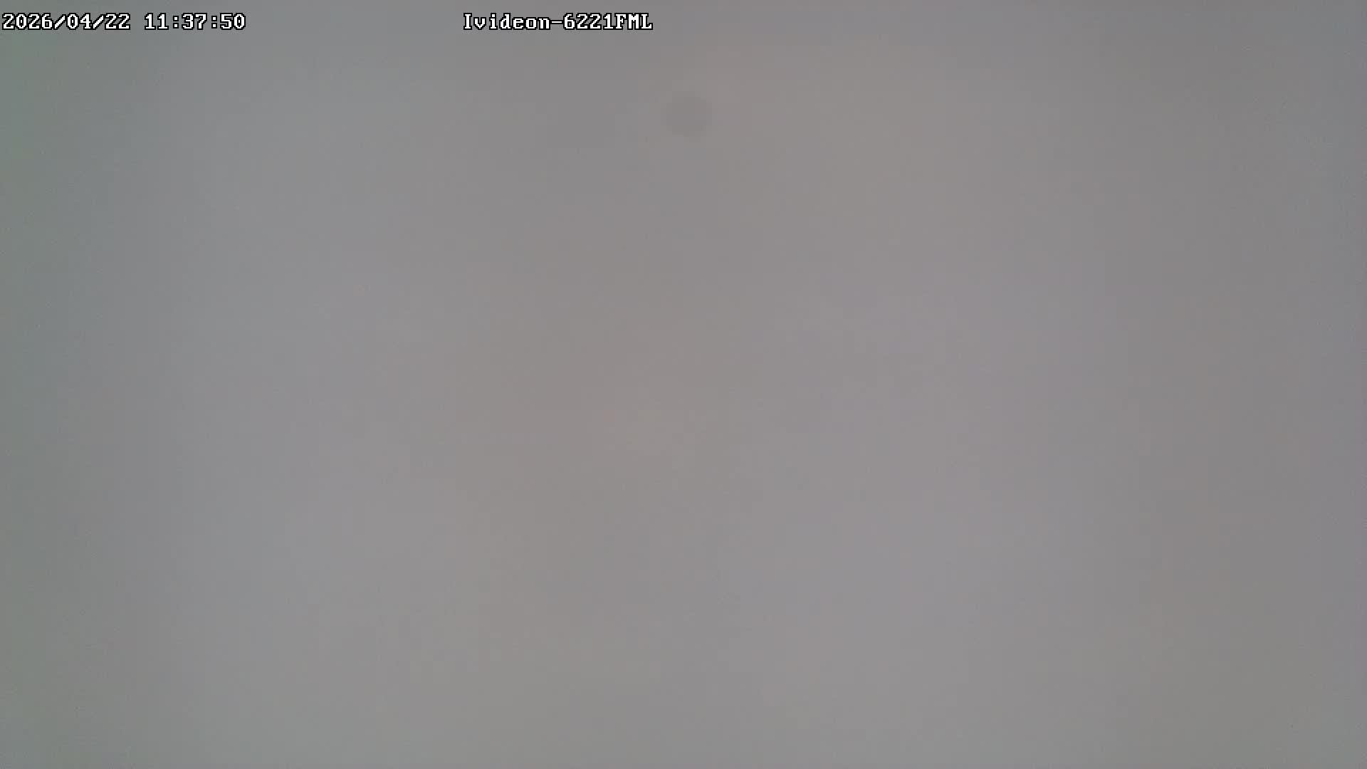 LIVE: channel43489494