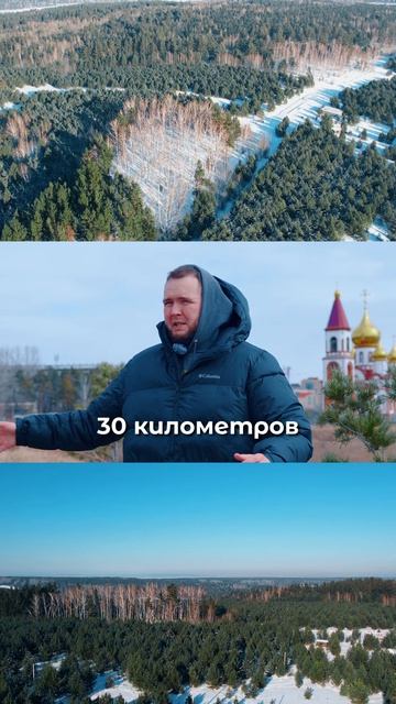 Сколько стоит участок в поселке в сосновом лесу, 