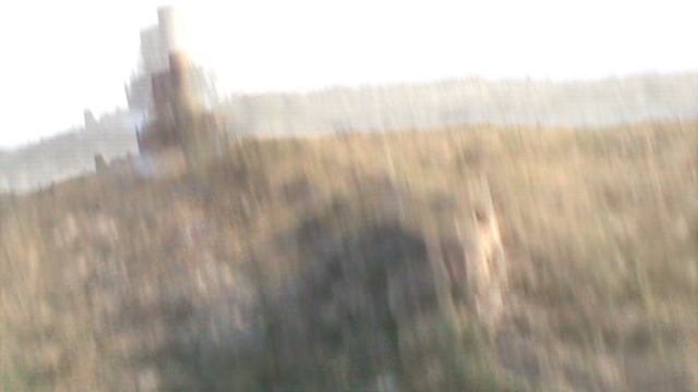 104)F БАЛАКВА