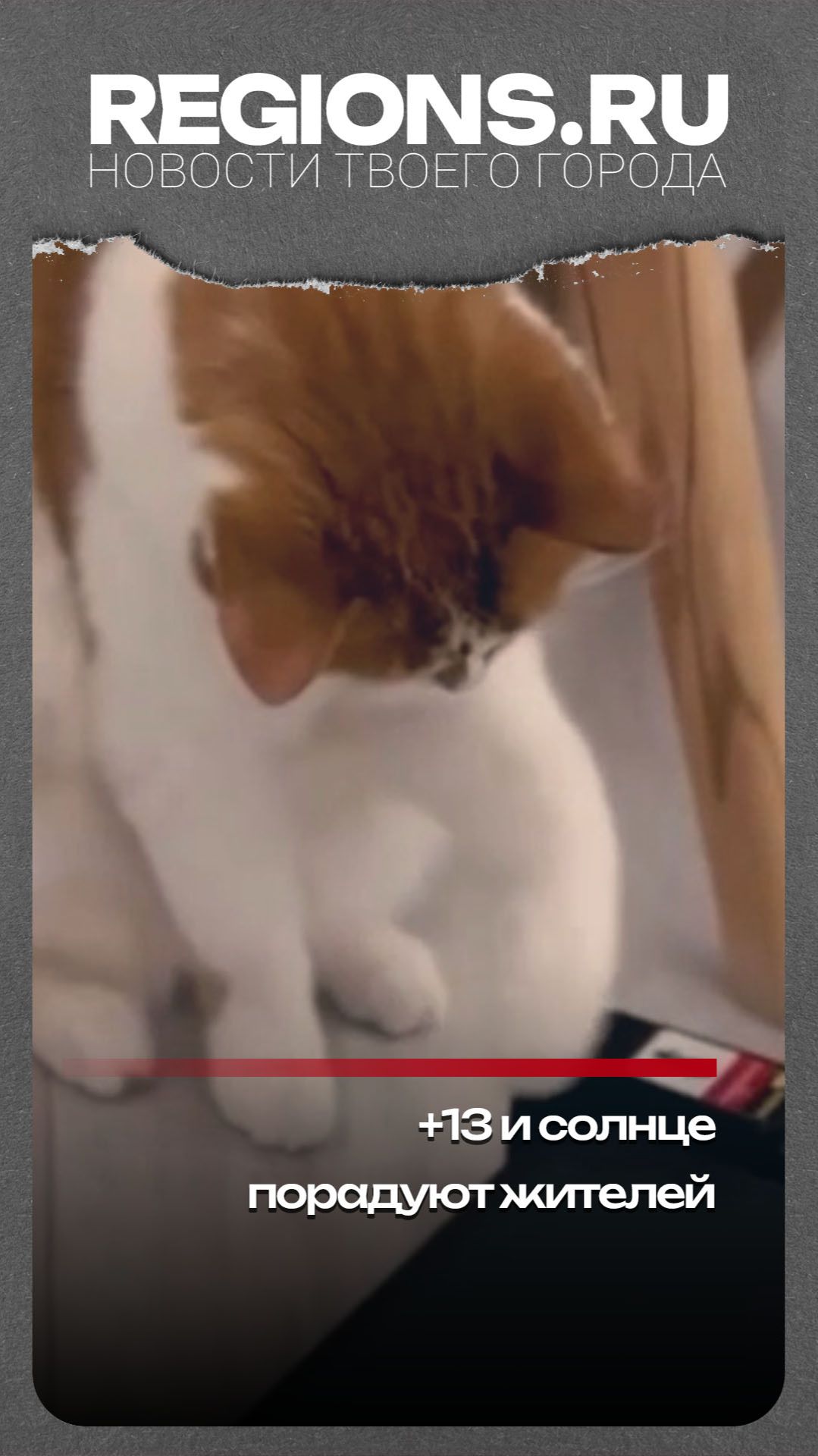 +13 и солнце порадуют жителей