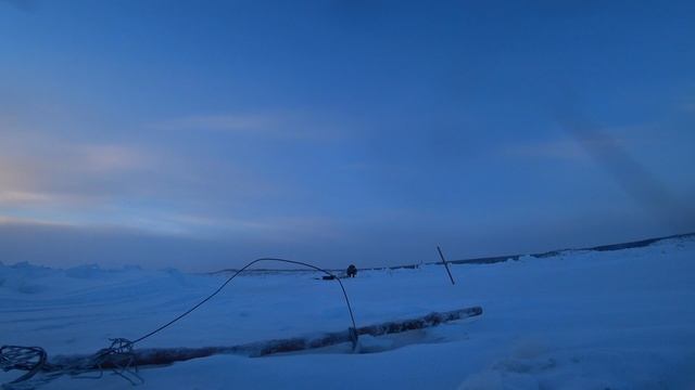 РЫБАЛКА НА СЕТИ. РЯПУШКА ДЕНЬ ВТОРОЙ. УЛОВ ЕСТЬ