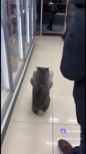 А пиво много не бывает)))