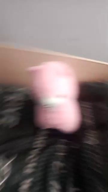 Будем снимать кота