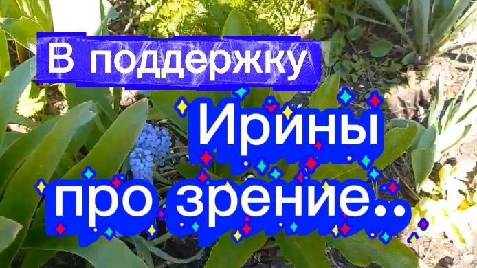 В поддержку Ирины. Про зрение.