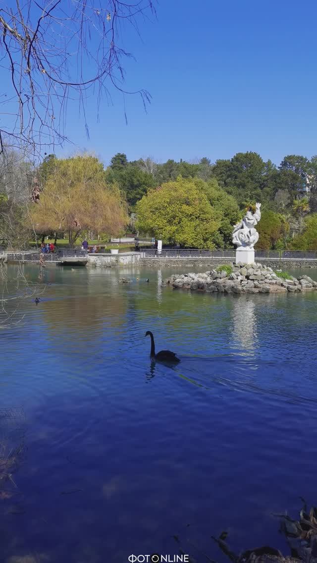 Нижний дендрарий, Сочи. Март 2026