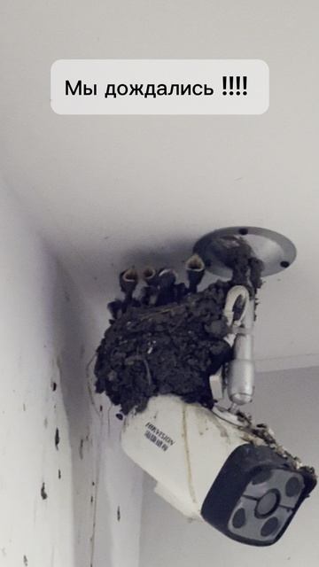 Интересное в Китае 2 | AiRobix Logistics