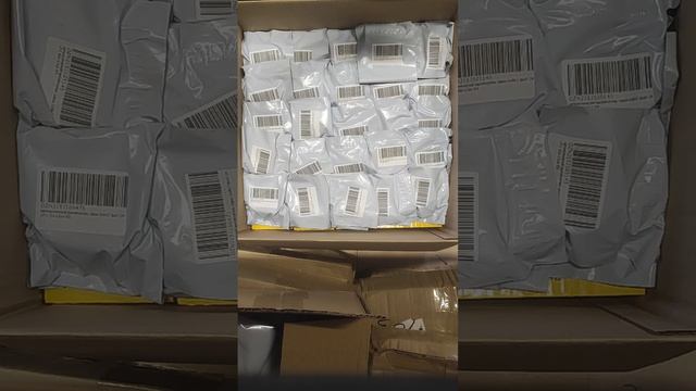 2636 - VID_20250923_153749