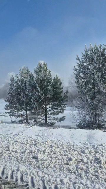 Февральнуло. ❄️☃️