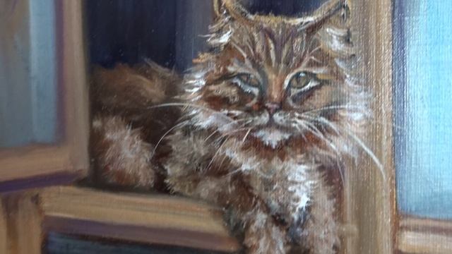 Котик в форточке