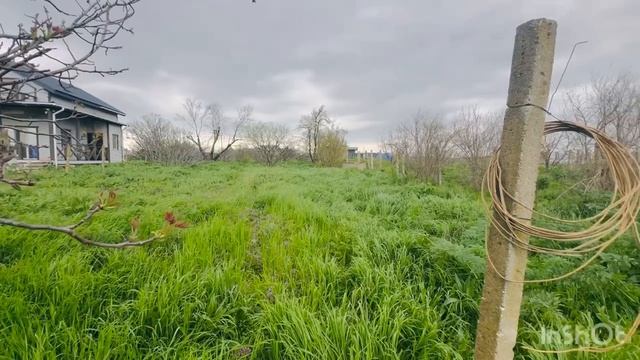 document_5424601414913534731 7 морская