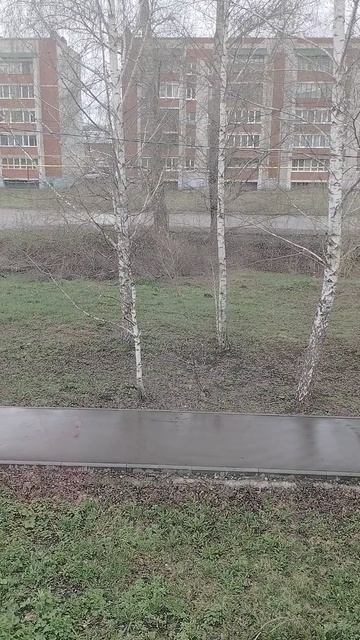 погода 22.04.26