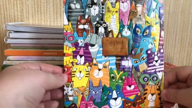 МОЯ КОЛЛЕКЦИЯ  БЛОКНОТОВ, ТЕТРАДЕЙ, ЕЖЕДНЕВНИКОВ