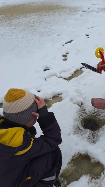 ЗИМНЯЯ РЫБАЛКА/СТАВИМ ЖЕРЛИЦЫ