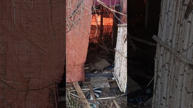 купили заброшенный дом с участком. будем делать уютный уголок