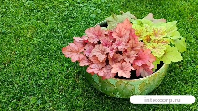 Декоративное кашпо ВЕНОНА, керамика, зелёный, 33 см, 1138239