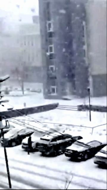 Обильный снег выпал в Новосибирске 1 камера