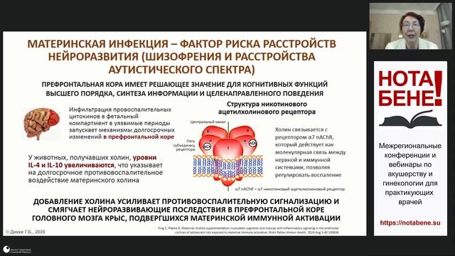 Нутритивное программирование: холин – инвестиция в здоровье будущих поколений
