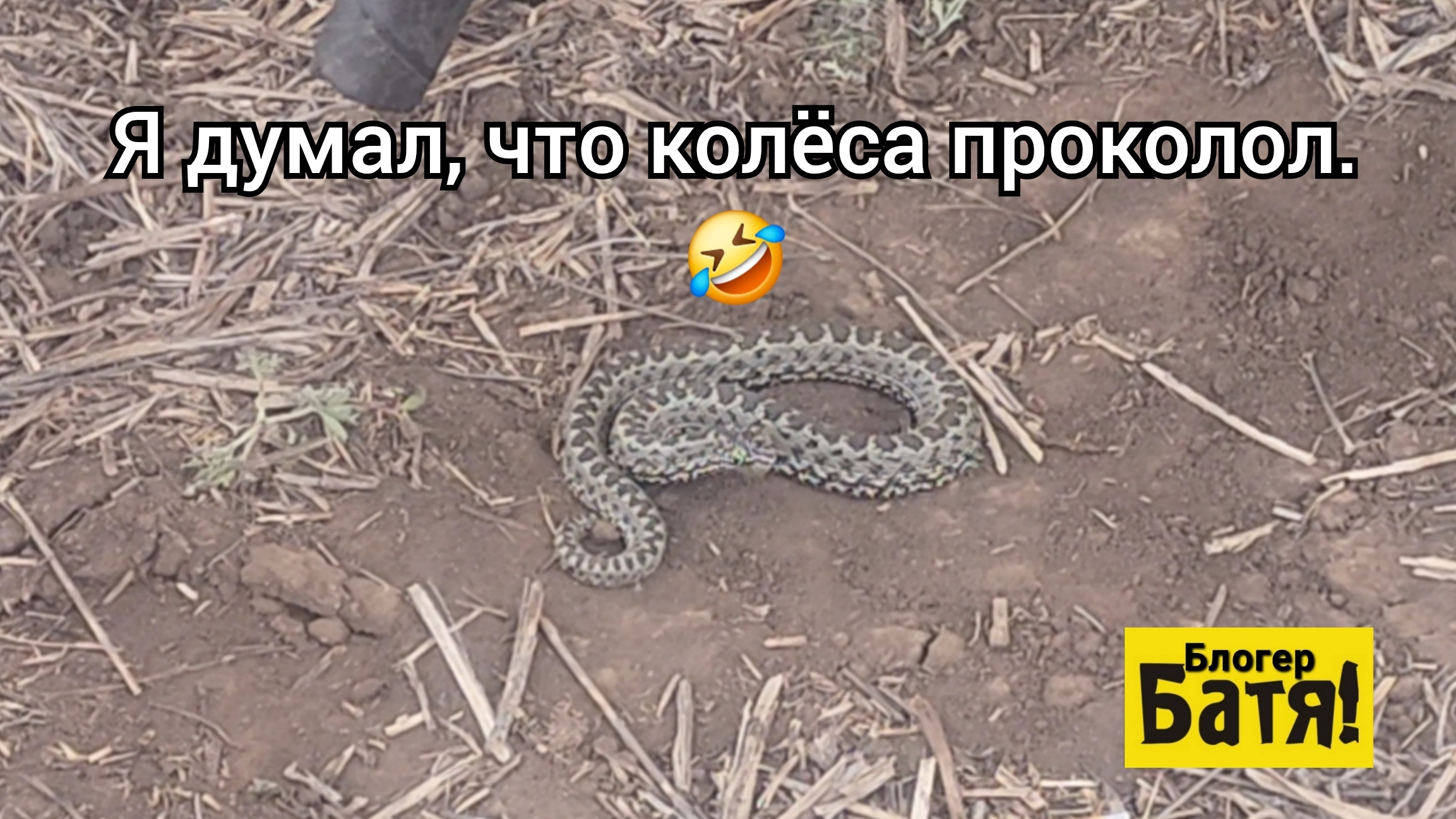 Батя на Работе.