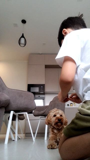 Барни выполняет команды