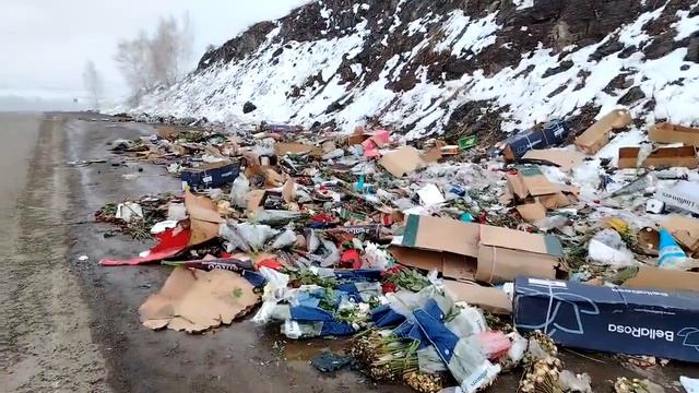 Цветы на обочине