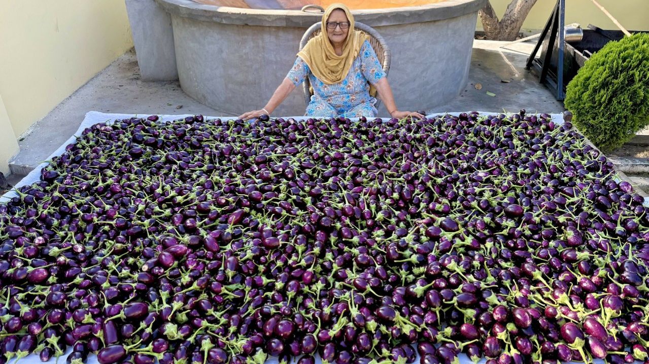 200 кг баклажанов в большом кадеи