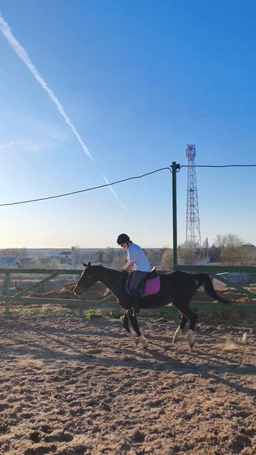 Даша и Флейта, галоп в полевой посадке на плацу.