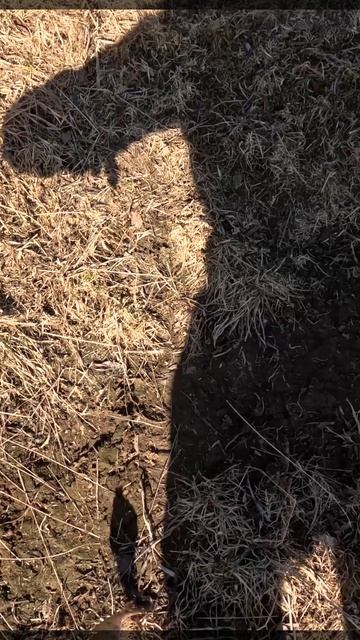 Рыбалка весной на мормышку! Попал на ельца! Открытие сезона! Ловля ультралайтом!