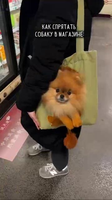 VID_20260422_135248_661.mp4