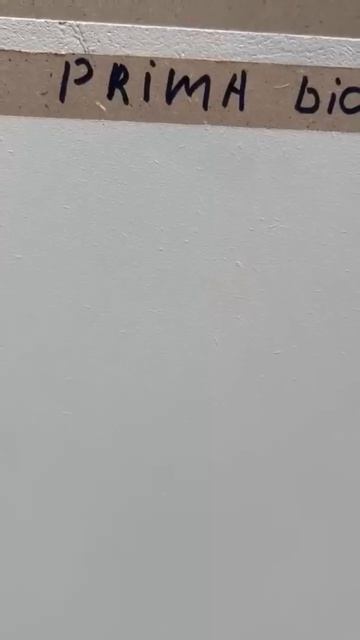 Prima Bianco во всей красе!