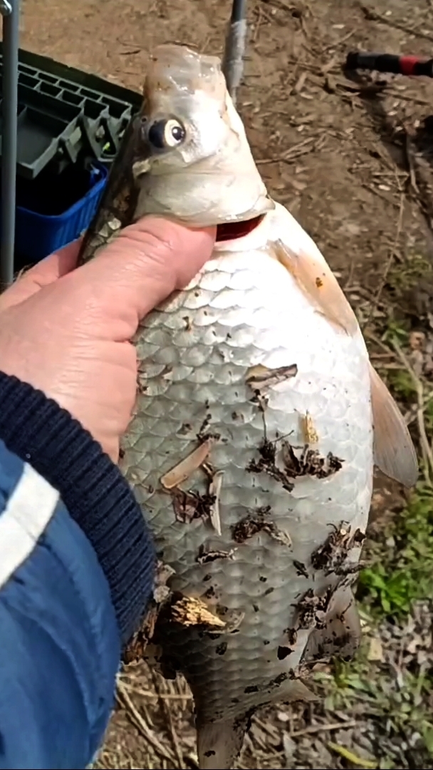 🔥А это зачёт 💪