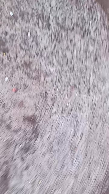 снег в грязи