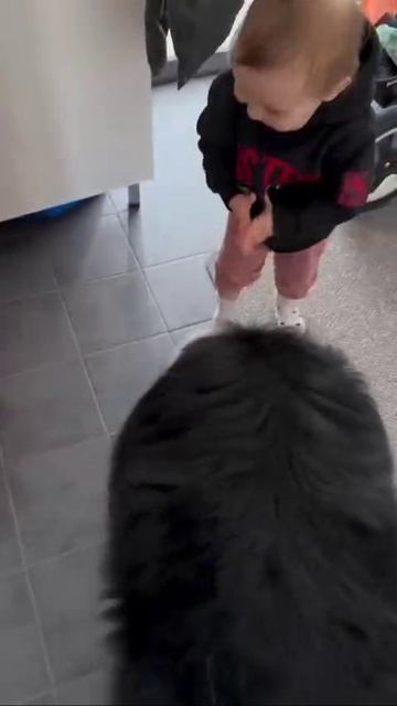 VID_20260422_134729_413.mp4