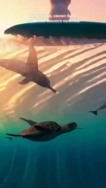 Как стать студентом Омского политеха в 2026 году? Узнаете уже в эту субботу 💫