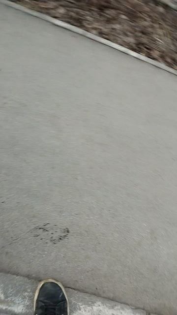 эльпримо часть2