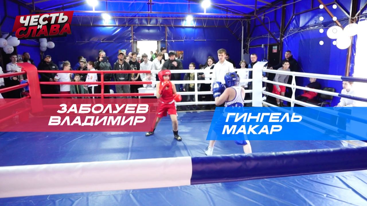 Бой 31, Заболуев Владимир - Гингель Макар