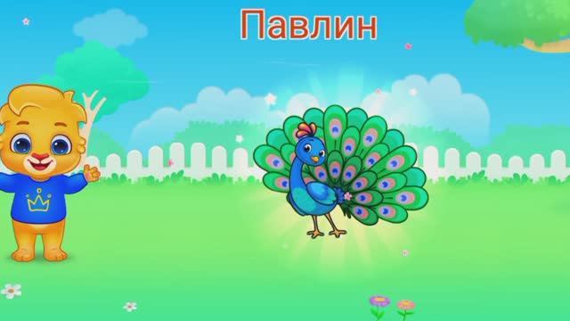 Мульт-развивашка, детский познавательный мультфильм, видео-головоломка.