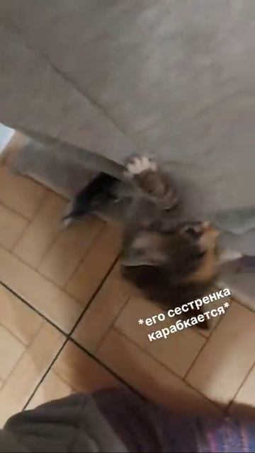 VID_20260422_133942_911.mp4