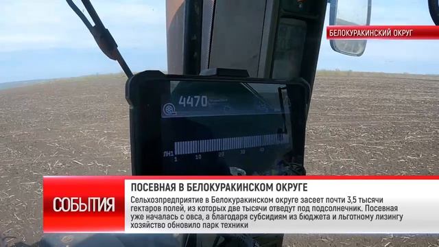 ПОСЕВНАЯ В БЕЛОКУРАКИНСКОМ ОКРУГЕ