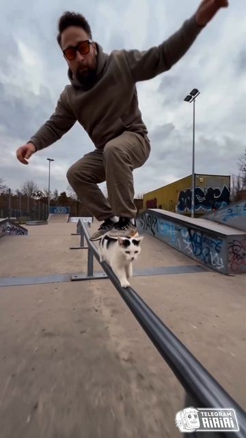 С'КОТ'БОРД нейросеть