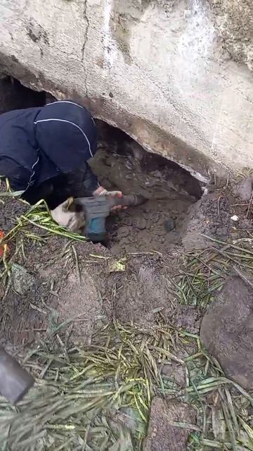 Укрепление фундамента, подготовка