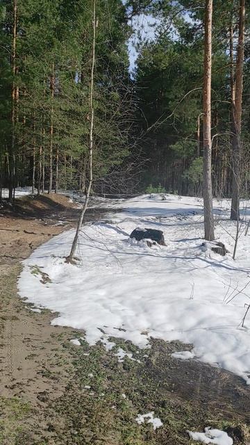 22 Апреля 2026