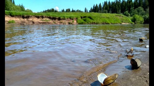 П. Коэльо. О переговорах. Притча 78. Книга Воина света