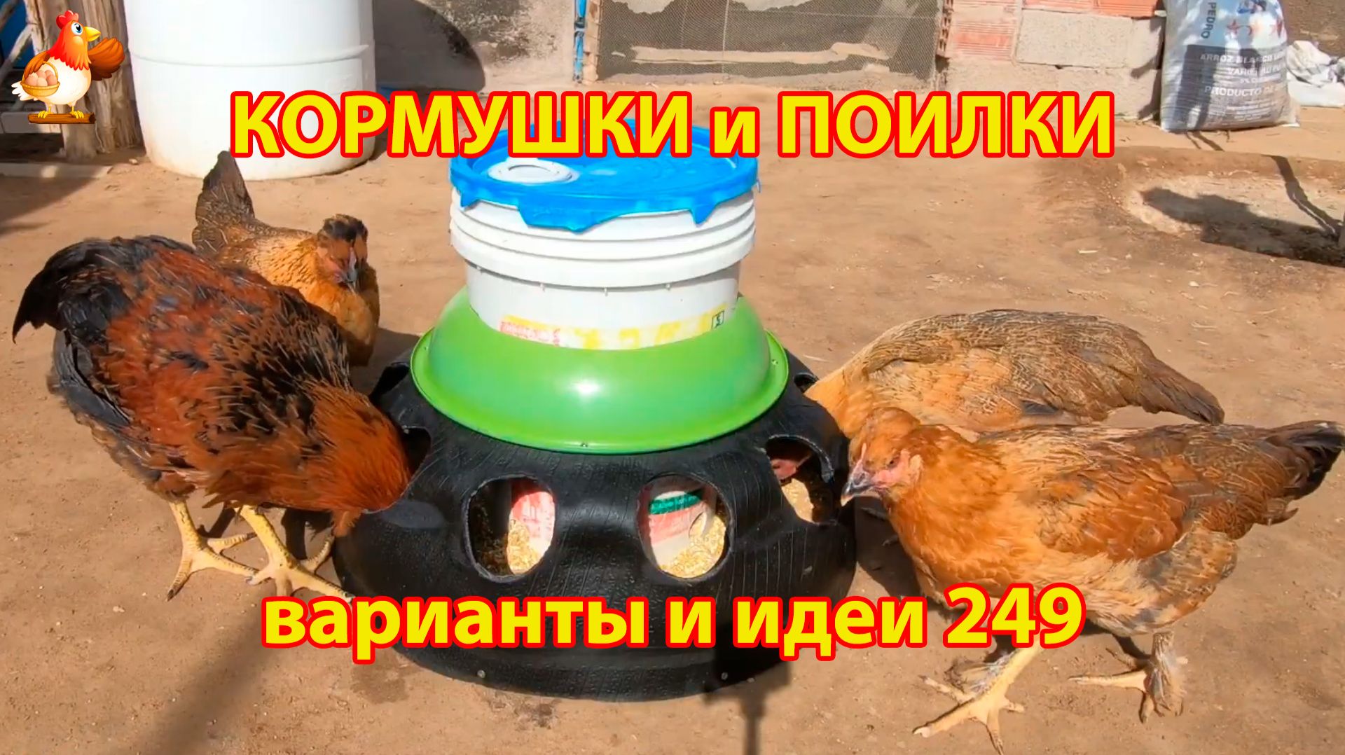 Кормушки и поилки для кур своими руками 249 🪚✂️ Пошаговая инструкция как сделать 🐔 🐓❣️