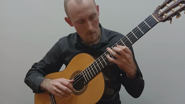 Е.Пожидаев - Фантазия на темы из симфонии №7 Л.Бетховена (классическая гитара)