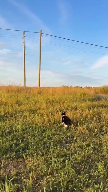 Весна пришла!