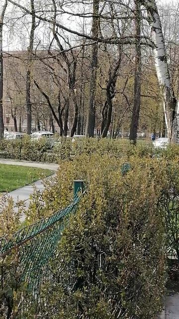 Мини-город Санкт-Петербург