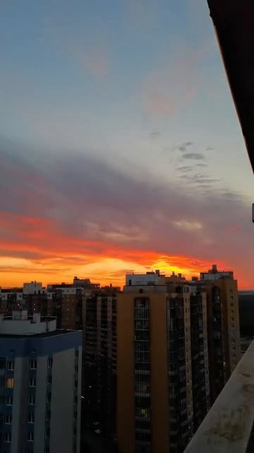 Закаты в Питере #russia #sashafromrussia #закат #питер #nature